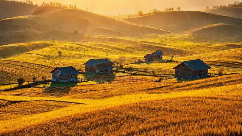 Hokkaido’s fields radiate serene